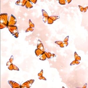 Meet your Posher, Ava